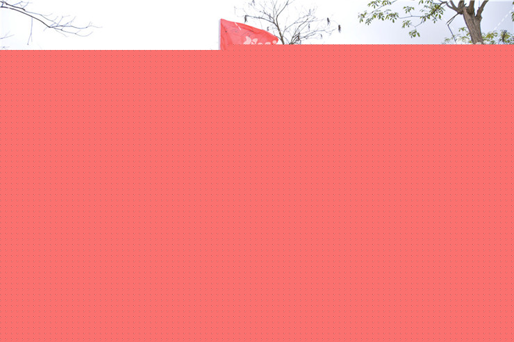 蔚然花海团建02.jpg