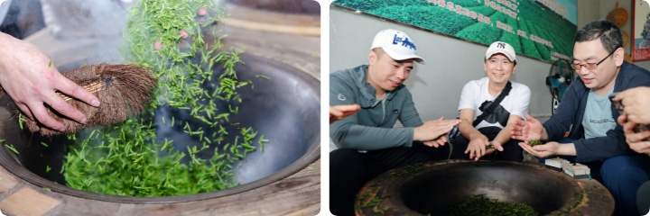 采茶2.jpg